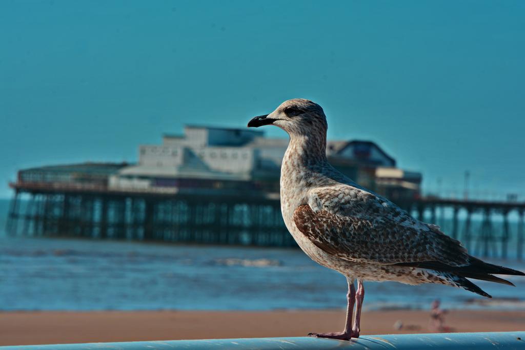 Tregenna Hotel Blackpool Exterior photo
